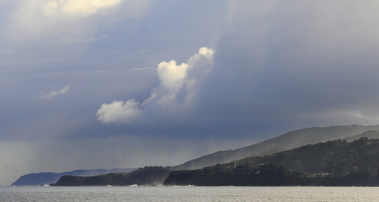 Costa de Valdivia por presunto daño ambiental de inmobiliarias