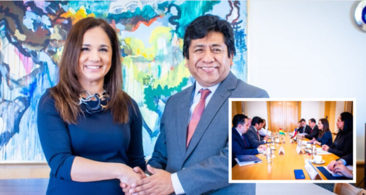 La reservada reunión entre la canciller (s) De La Fuente y el vicecanciller boliviano en La Moneda