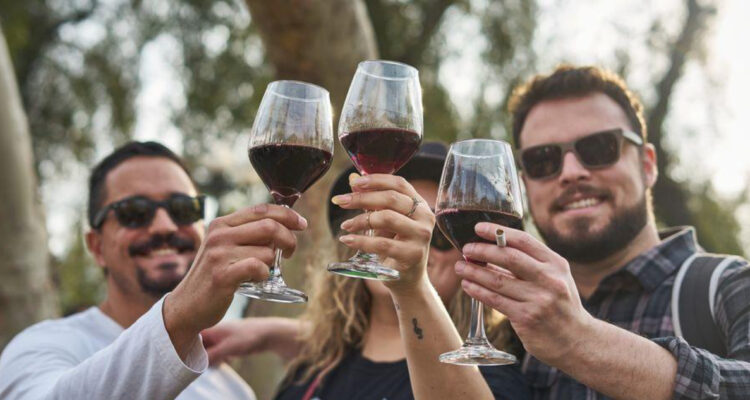Día Nacional del Vino: conoce cómo obtener entradas para la celebración en Providencia
