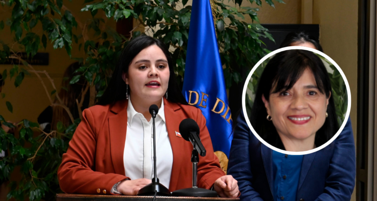 Diputada Concha (PSC) oficia a la directora de la SEC para conocer detalles de los cortes eléctricos