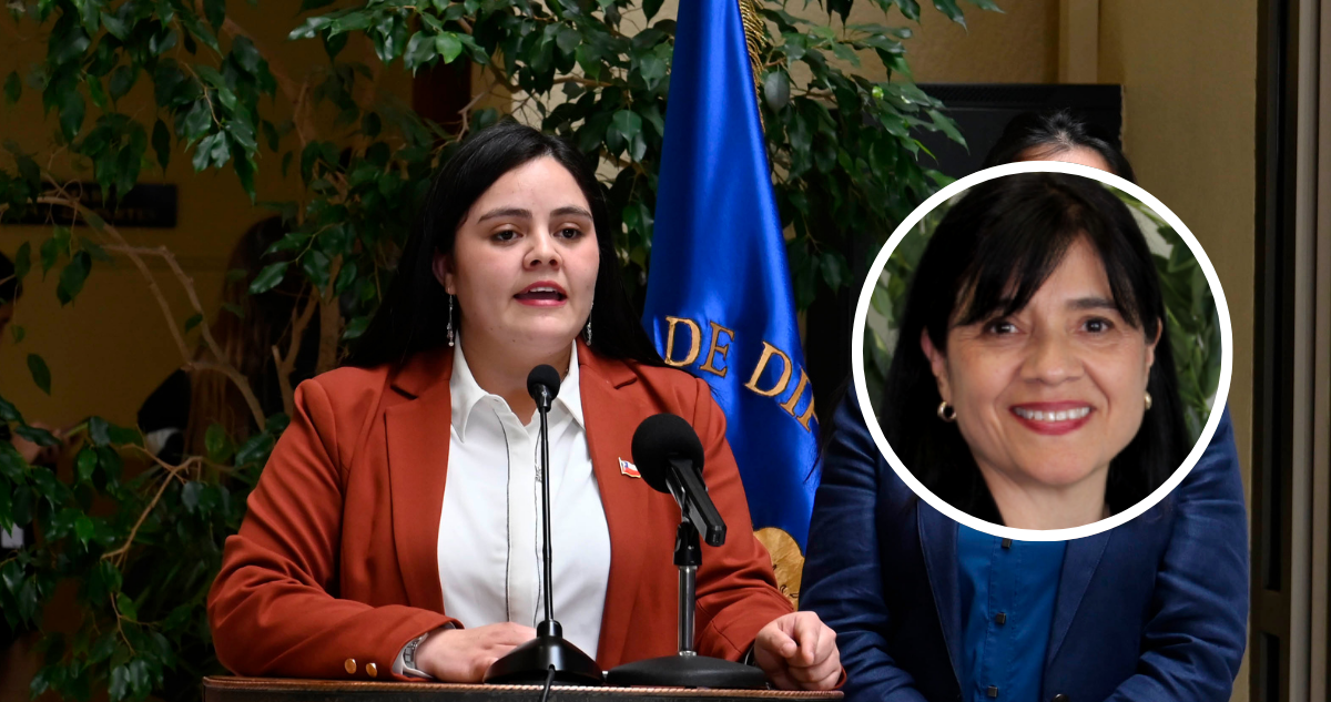 Diputada Concha (PSC) oficia a la directora de la SEC para conocer detalles de los cortes eléctricos