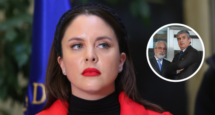Diputada Musante advierte que Hermosilla podría usar chats “para entrampar el proceso judicial”