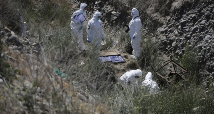 Hallan cráneo humano en Llanquihue: también encontraron zapatos y ropa