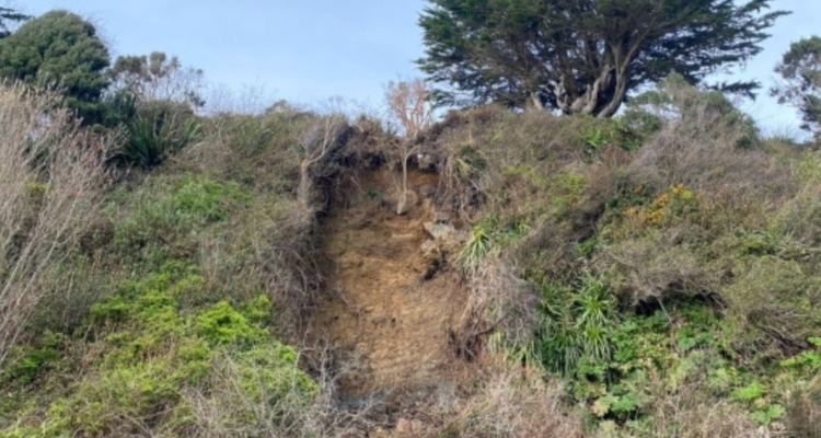 Valdivia: nuevo deslizamiento de tierra se registró en ladera de Playa Grande en Niebla
