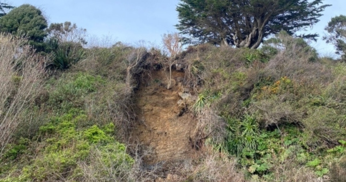 Valdivia: nuevo deslizamiento de tierra se registró en ladera de Playa Grande en Niebla