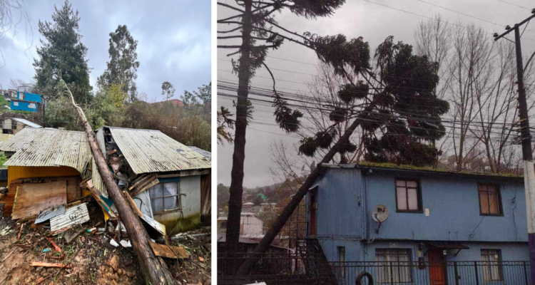 Vecinos de Candelaria piden ayuda al municipio de San Pedro tras daños por sistema frontal