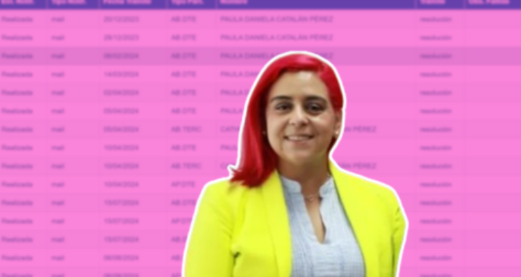 Portal Judicial revela que Paula Catalán patrocinó litigios por tierras mientras era Seremi de BBNN