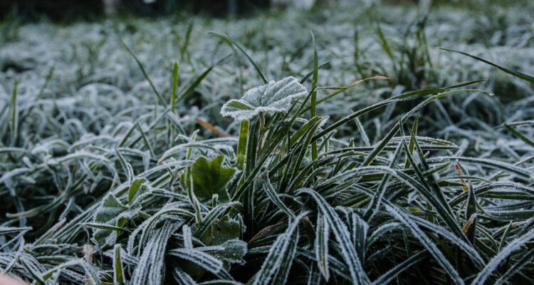 Emiten advertencia por heladas en seis regiones del país: temperaturas alcanzarían los -4°C