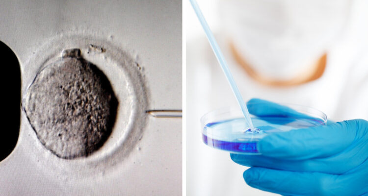 Demandaron a empresa australiana por destruir embriones sanos: ahora deberá pagar US$37 millones