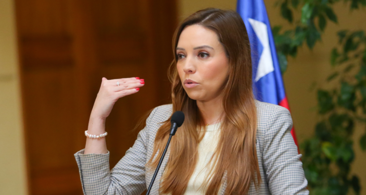 Flores (RN) advierte por término de concesión de Enel: “El remedio suele salir peor que la enfermedad”