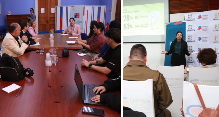 Funcionarios públicos de Tarapacá reciben capacitación en temas de antidiscriminación y desinformación