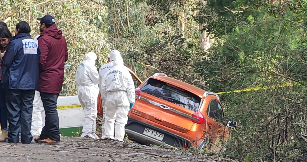 Vehículo arrendado y heridas con arma blanca: lo que se sabe del hallazgo de un cuerpo en Hualpén