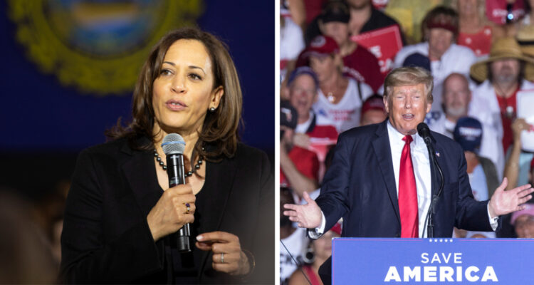 Kamala Harris logra ligera ventaja sobre Donald Trump, según últimos sondeos