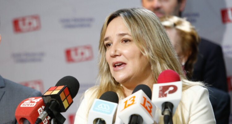 Hoffmann (UDI) emplaza al Gobierno por crisis eléctrica: “Jamás le habría pasado al presidente Piñera”