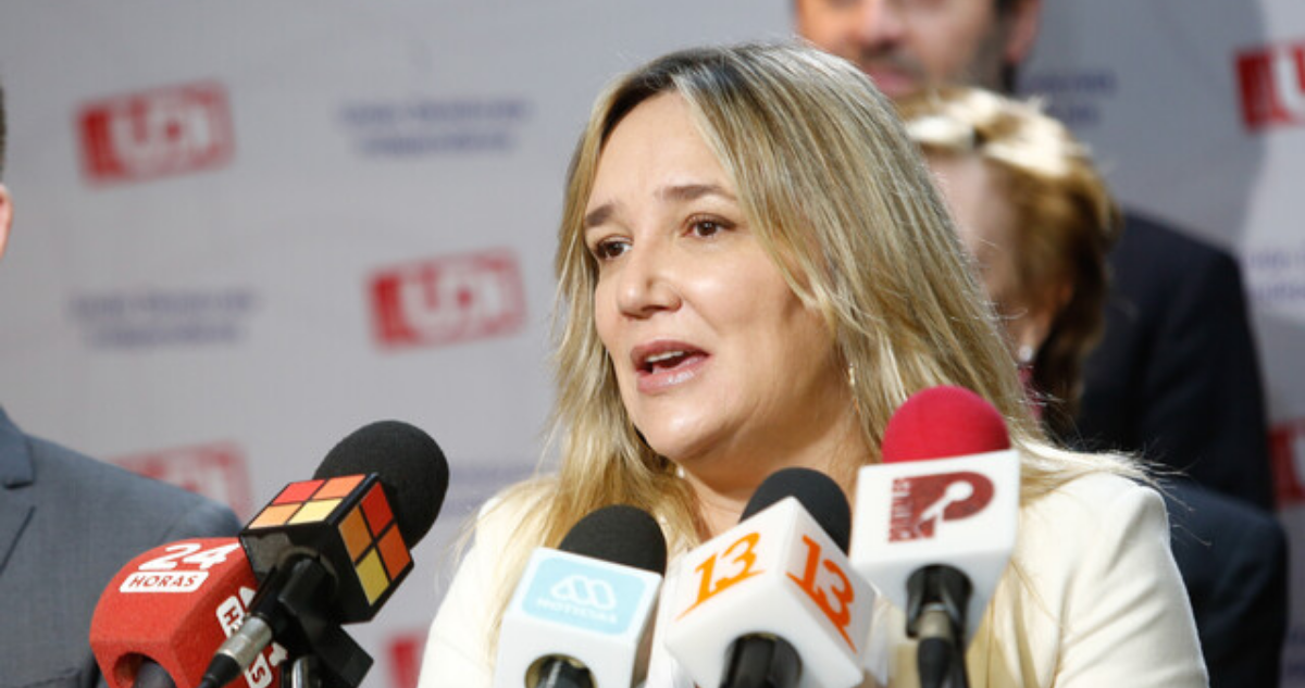 Hoffmann (UDI) emplaza al Gobierno por crisis eléctrica: “Jamás le habría pasado al presidente Piñera”