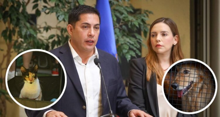 Diputados Flores y Durán exigen mayor regulación y fiscalización a hoteles caninos