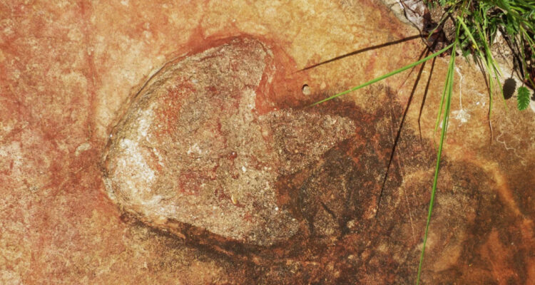 Huellas de dinosaurios revelan un camino que conectaba África con Sudamérica hace 120 millones de años