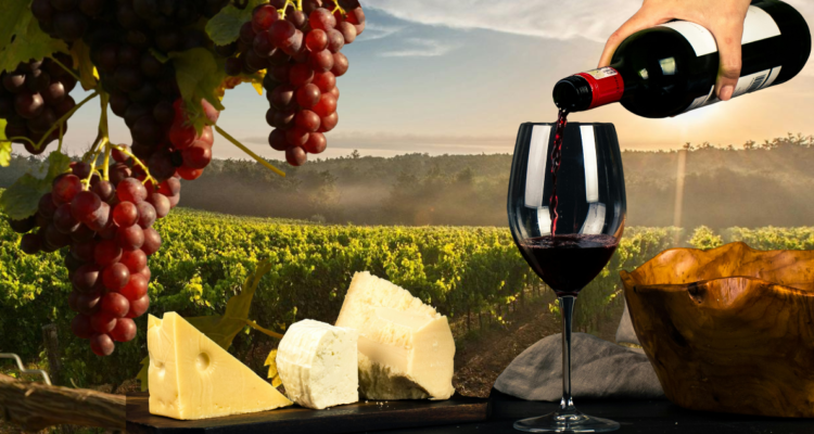 conceptos básicos sobre el vino