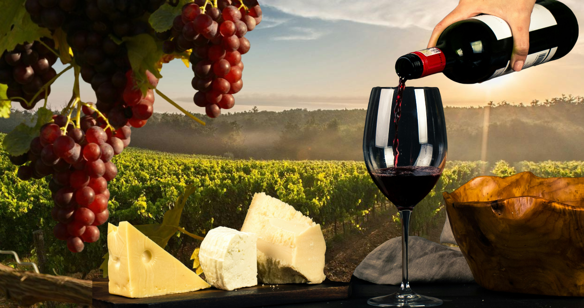 conceptos básicos sobre el vino