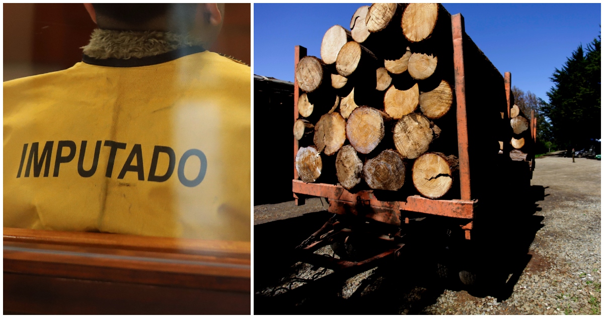 Imputado por robo de madera en provincia de Arauco sigue en prisión preventiva