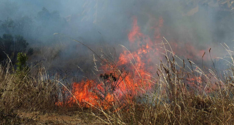 Investigan hallazgo de cuerpo femenino en incendio de basural en Peñaflor
