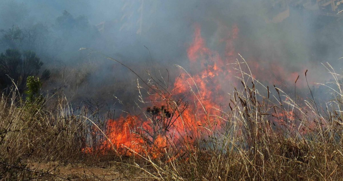 Investigan hallazgo de cuerpo femenino en incendio de basural en Peñaflor
