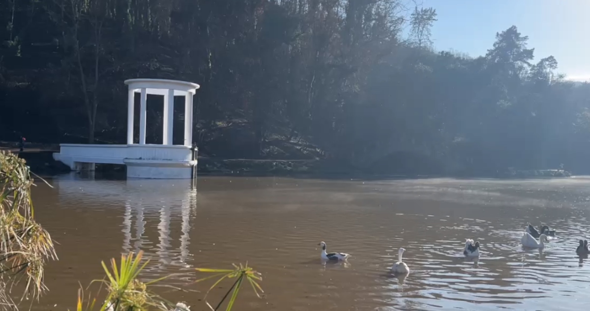 Inauguran primera etapa de recuperación de Jardín Botánico en Viña del Mar
