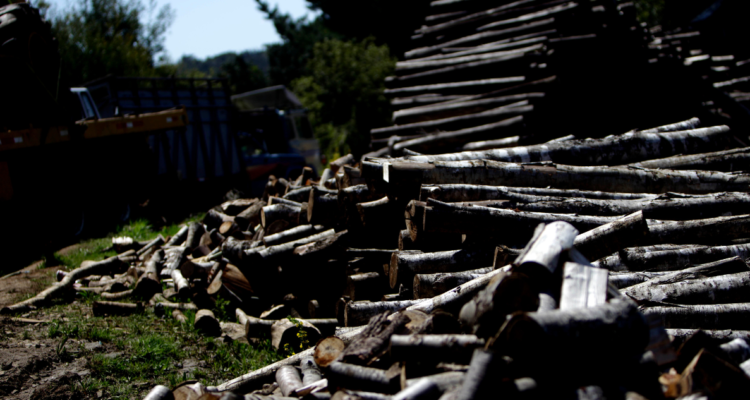 Imagen de madera por crisis en el sector
