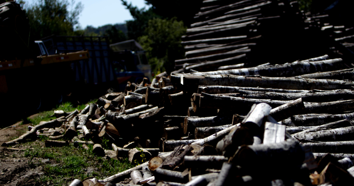 Imagen de madera por crisis en el sector