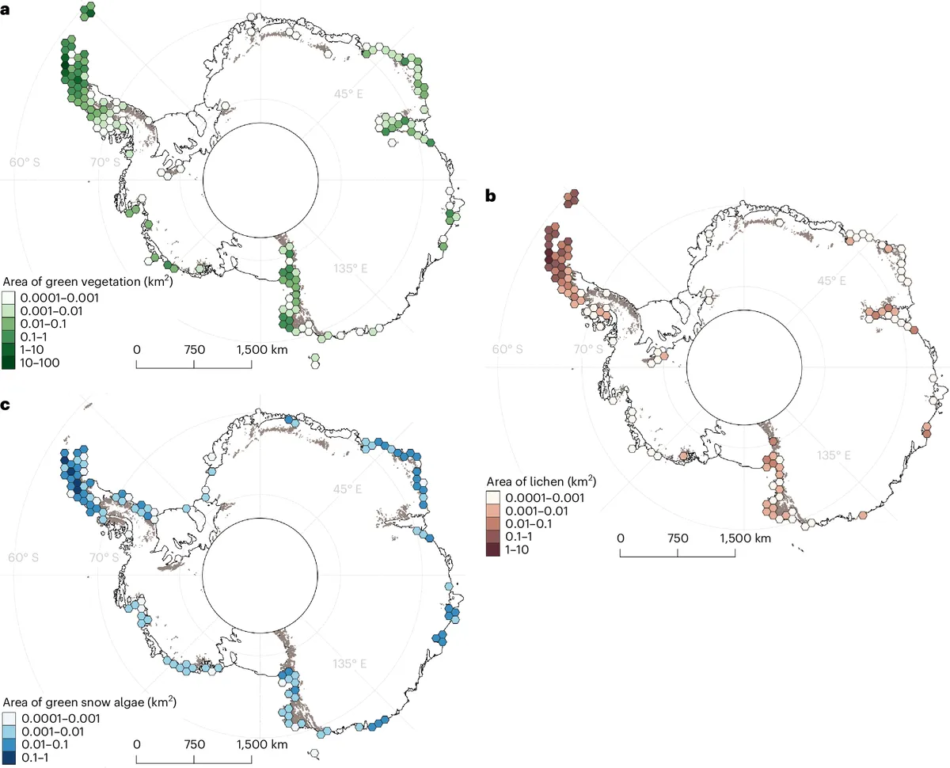 Los mapas vegetales de la Antártica. 