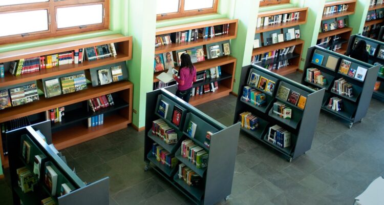 Más de 1.242 millones serán distribuidos en 53 bibliotecas públicas de Chile