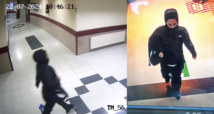 Registro de cámaras de seguridad de mujer robando lactante en Hospital Regional de Temuco.