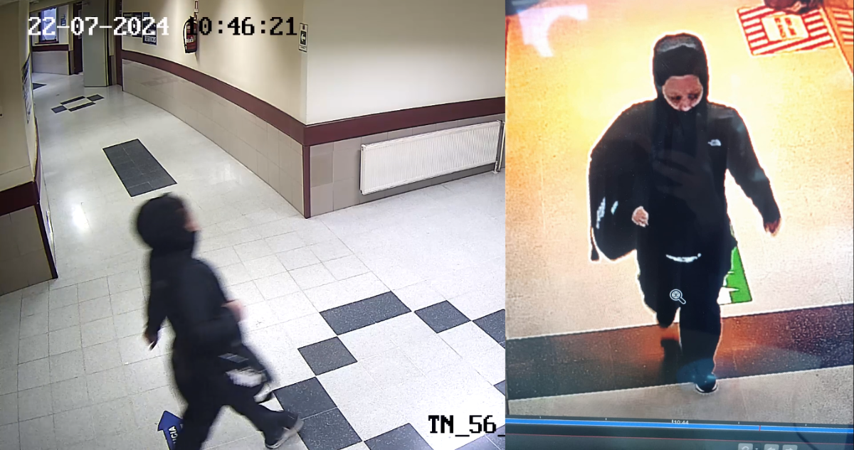 Registro de cámaras de seguridad de mujer robando lactante en Hospital Regional de Temuco.