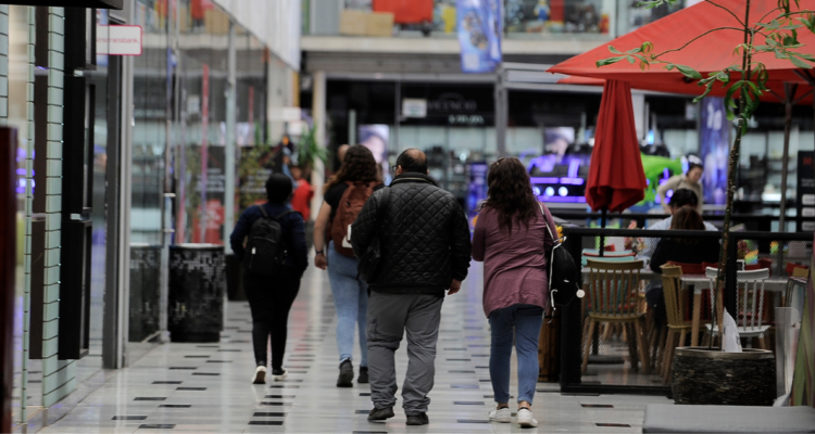 ministerio de seguridad pública