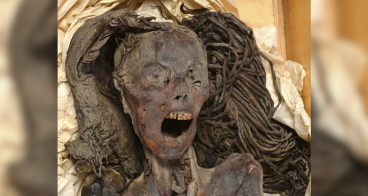 Misterio Momia que grita