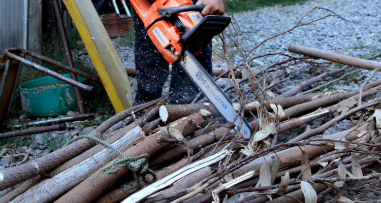 Imagen de motosierra por hombre que mató accidentalmente a su cuñado en Los Ángeles