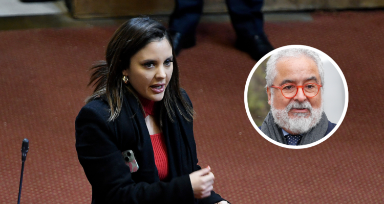 Musante (IND) por recurso de Hermosilla contra el Gobierno: “Intenta ser víctima cuando es un peligro”