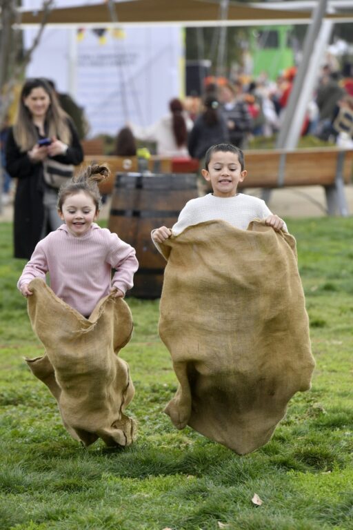 niños en juego feria 18 vitacura