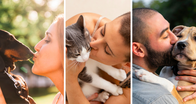 Sin duda las mascotas son parte de la familia, y muchos de ellos son tratados como un hijo más. El cuidado y el cariño es fundamental para los animales, sin embargo aquello no debe traspasar el límite como dejar que besen tu boca.