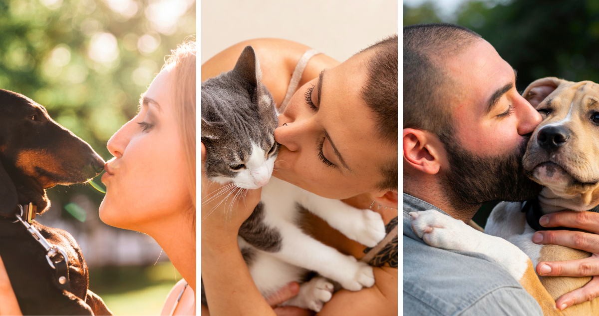 Sin duda las mascotas son parte de la familia, y muchos de ellos son tratados como un hijo más. El cuidado y el cariño es fundamental para los animales, sin embargo aquello no debe traspasar el límite como dejar que besen tu boca.