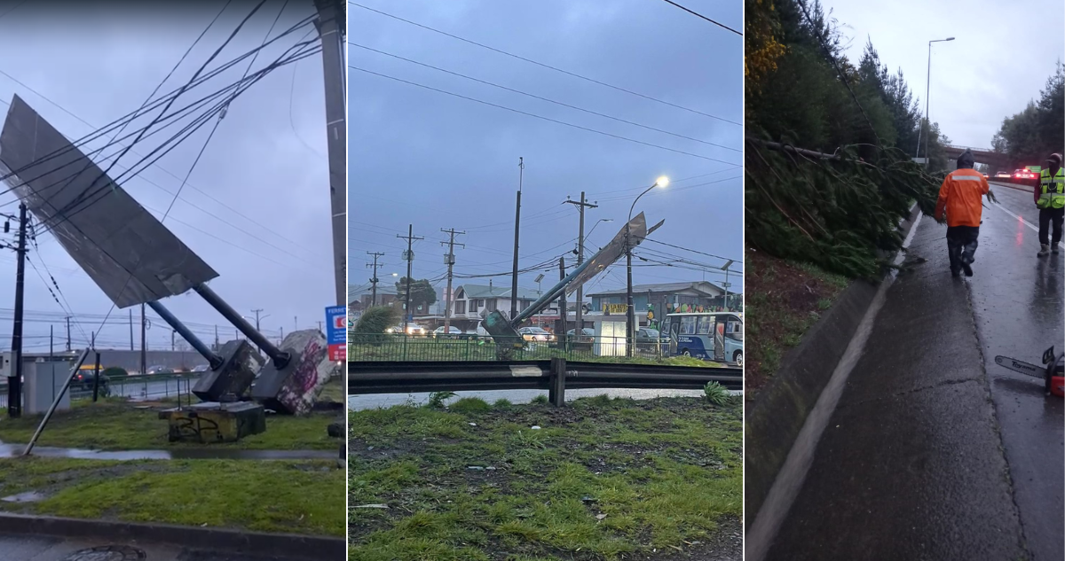Gran Concepción: fuerte viento provoca caída de árboles, un letrero y retraso en servicio de Biotrén