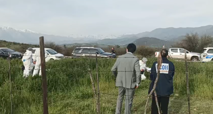 Un cráneo con un orificio y otras osamentas: lo que se sabe del hallazgo de restos humanos en Colina