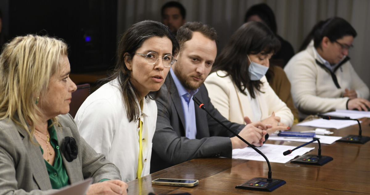 Ausencia de ministra Orellana marcó comparecencia de Isabel Amor en Comisión de Mujeres de la Cámara