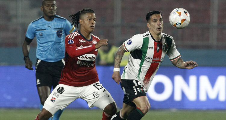 Palestino DIM Sudamericana