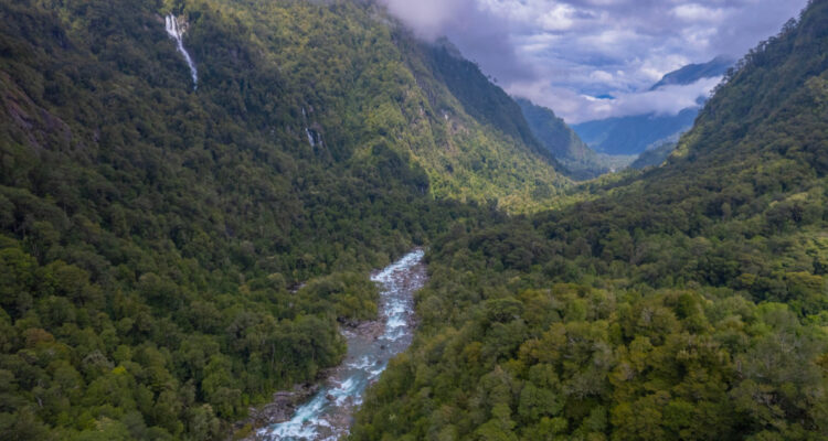 NASA concluyó que los bosques de la Patagonia chilena son de los que más almacenan carbono en el mundo