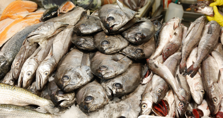 Los pescados con más omega 3 en Chile y cuáles son los beneficios de consumir estos ácidos grasos