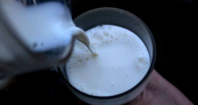 Vaso de leche por producción lechera