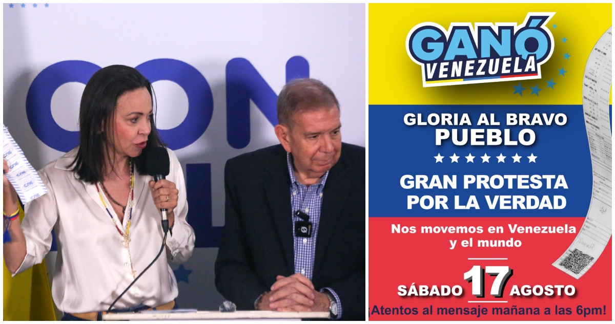 Convocan protesta mundial actas electorales