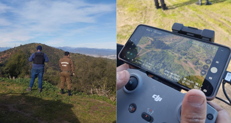 Búsqueda de Puma en Reñaca Alto, en Viña del Mar