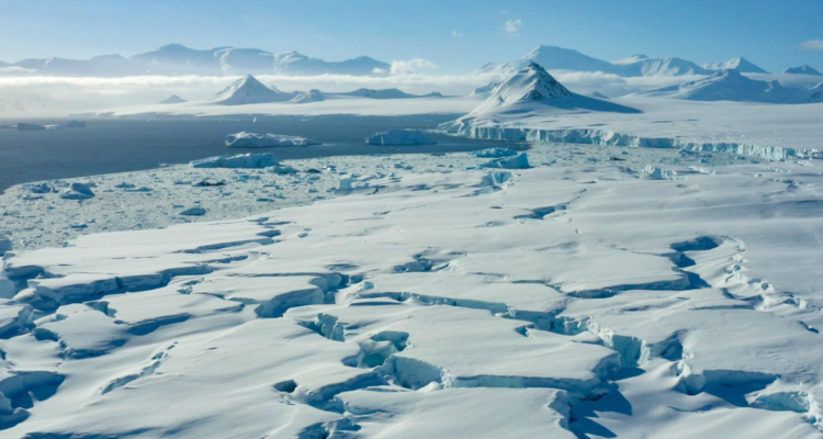 ¿Punto sin retorno?: Científicos en Chile prevén el futuro de la Antártida tras el deshielo